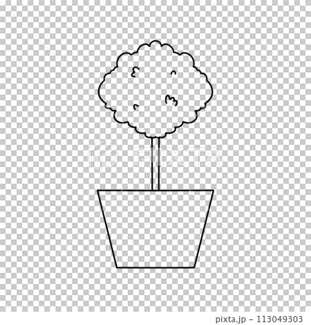 A small tree is in a pot A small tree is in a pot 113049303