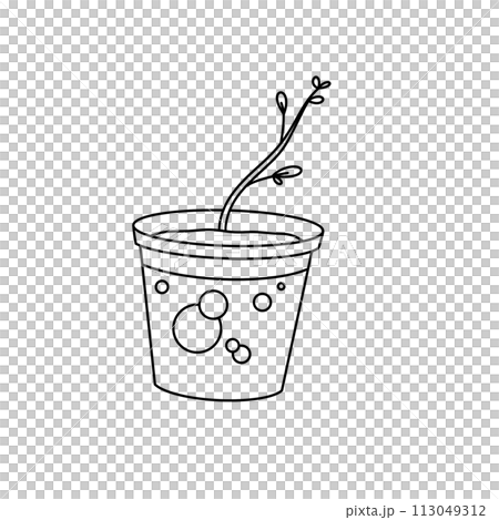 A plant is growing in a small plastic container A plant is growing in a small plastic container 113049312