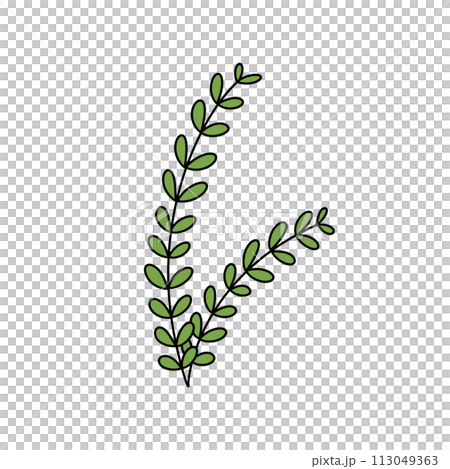 A green leafy plant with a stem 113049363