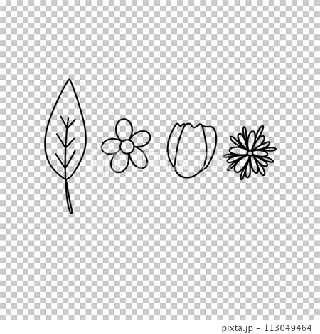 Four different flowers are drawn in black and white 113049464