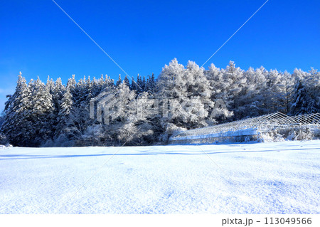 八ヶ岳山麓の雪道 八ヶ岳山麓の雪道 113049566
