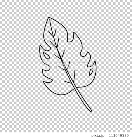 A leaf with a hole in it A leaf with a hole in it 113049589