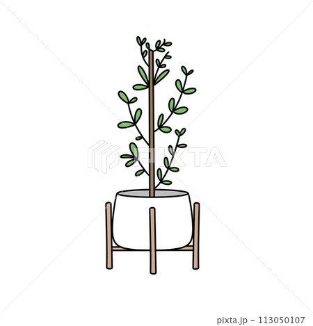 A potted plant with green leaves sits on a wooden stand 113050107