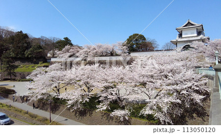 金沢城公園の石川門の桜 金沢城公園の石川門の桜 113050120