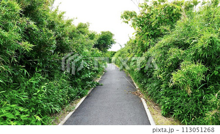 神奈川県三浦市の城ケ島遊歩道 113051268