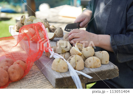 じゃがいもを切る女性 113051404