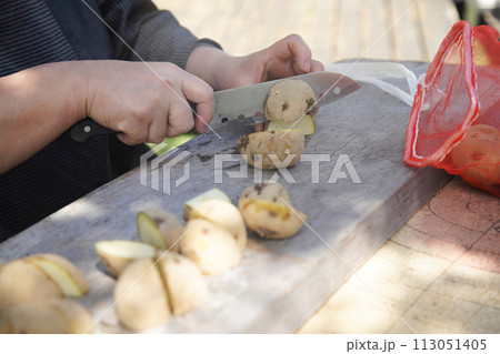 じゃがいもを切る女性 113051405