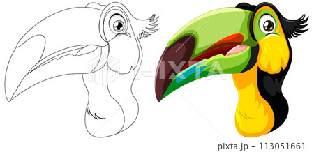 Colorful Toucan Vector Illustration 113051661