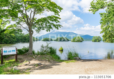 北海道 夏の大沼国定公園 大沼越しに見る北海道駒ヶ岳 北海道 夏の大沼国定公園 大沼越しに見る北海道駒ヶ岳 113051706