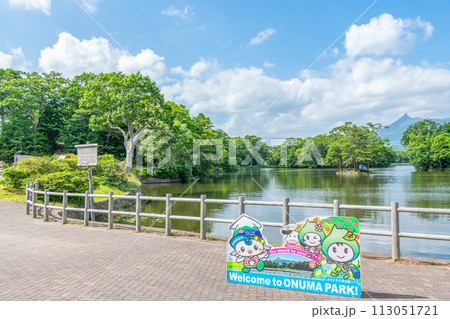 北海道　人気の観光地　夏の大沼国定公園 113051721