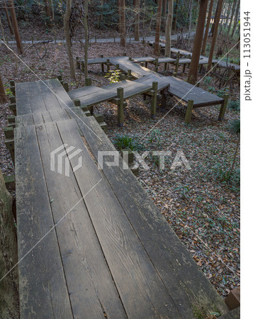 森林の斜面に設置された木道（千葉県松戸市　21世紀の森と広場） 113051944