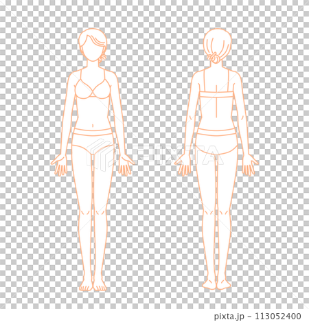 Naked young woman with underwear (full body, front, back, no face) 113052400