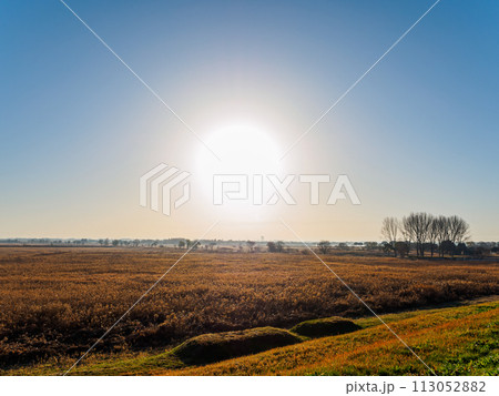 美しく広大な利根川と葦原の草原。  日本国栃木県栃木市、渡良瀬遊水地にて。 ラムサール条約登録地。 美しく広大な利根川と葦原の草原。  日本国栃木県栃木市、渡良瀬遊水地にて。 ラムサール条約登録地。 113052882