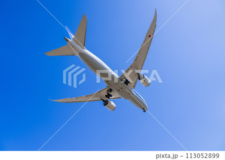 《飛行機》ボーイング Boeing 787 > 787-8 Dreamliner（ドリームライナー） 113052899