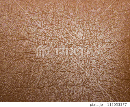 Leather surface with selective focus 113053377