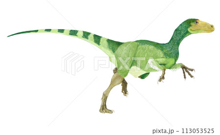 狩人には今一歩の進化　フクイヴェナトール 113053525