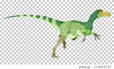 狩人には今一歩の進化　フクイヴェナトール 113053525