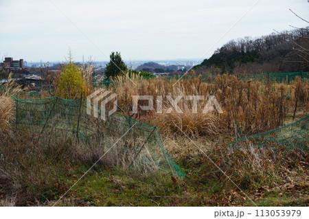 管理をする人が来なくなった中山間農地 113053979