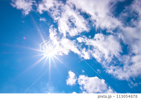 ギラギラの真夏の太陽 113054878