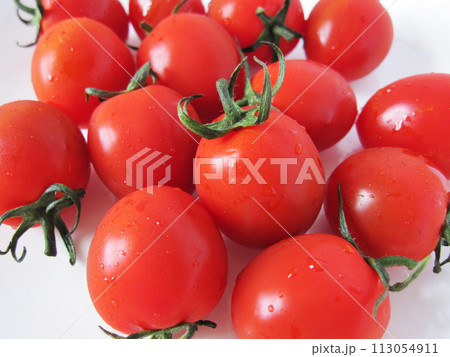 たくさんの真っ赤なプチトマト 113054911