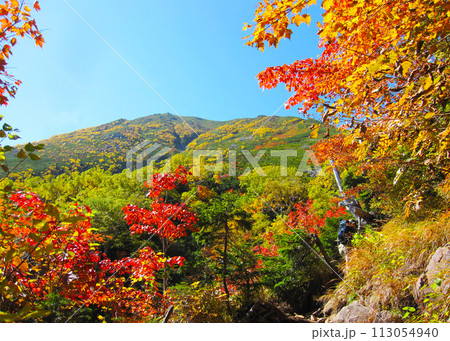 よく晴れた秋の山と紅葉の背景 113054940