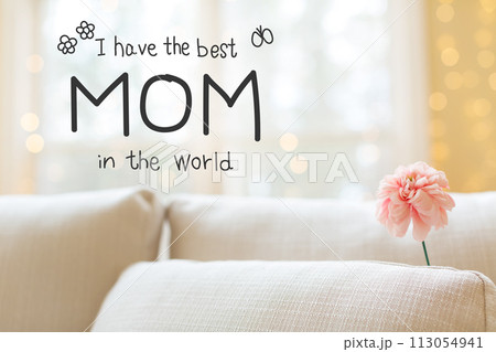 Mother's Day message with flower in interior room sofa 113054941