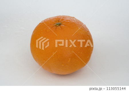 新鮮なオレンジ　にじゅうまる　佐賀県産 113055144