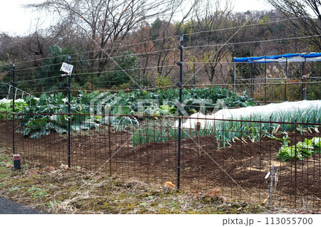 獣害防止柵を巡らせた中山間農地の小さな畑 113055700