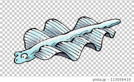 スカイフィッシュ スカイフィッシュ 113056419