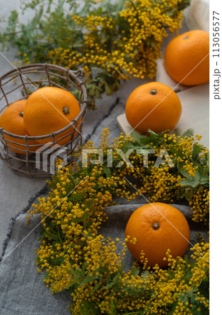 ミモザのリースと八朔 ミモザのリースと八朔 113056577