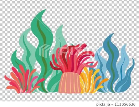 イソギンチャクと海藻のイラスト 113056636