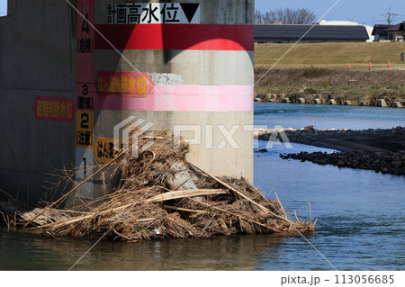 橋桁に引っ掛かった漂流物 113056685