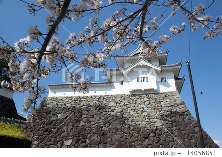甲府城と桜 113056851