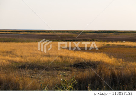 View on the Sivash lake, Ukraine 113057152