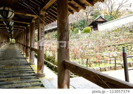 大和国　長谷寺登廊　二本の杉入口　奈良県 113057374