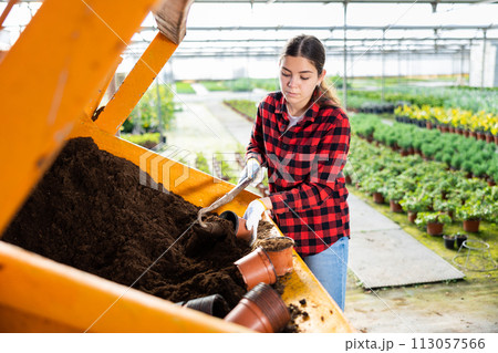 Woman farmer puts a soil in pots 113057566
