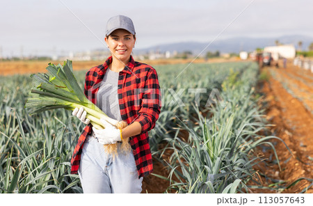 Smiling woman agriculturist with leek on vegetable plantation 113057643