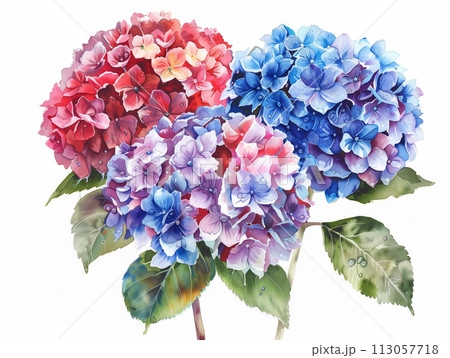 透明水彩画『紫陽花と観る人達』 透明水彩画『紫陽花と観る人達』