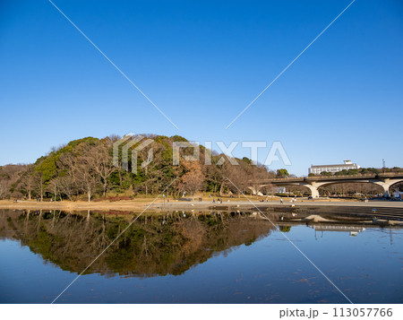冬の公園風景 池に映る木々と橋(千葉県松戸市・21世紀の森と広場) 冬の公園風景 池に映る木々と橋(千葉県松戸市・21世紀の森と広場) 113057766