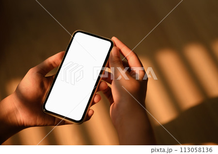Woman holding smartphone with blank screen sitting in living room. Closeup 113058136