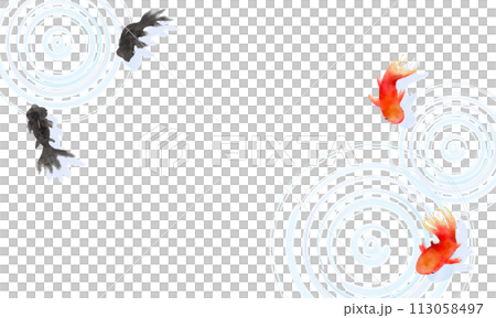金魚と水の波紋の背景のイラスト 113058497