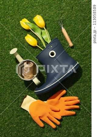 Gardening supplies and tulips in rubber boot on green background, top view Gardening supplies and tulips in rubber boot on green background, top view 113058589