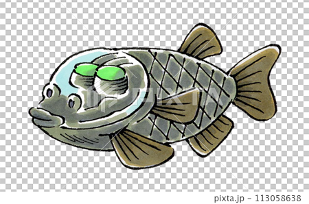 デメニギス デメニギス 113058638