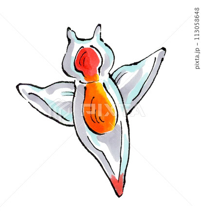 クリオネ 113058648