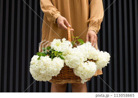 A girl holds a basket with flowers on the street, in the summer. A girl holds a basket with flowers on the street, in the summer. 113058665