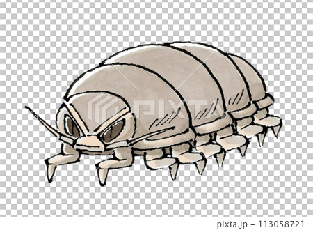 Giant beetle beetle Giant beetle beetle 113058721