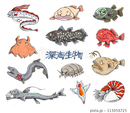 深海生物セット 深海生物セット 113058725