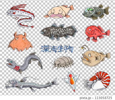 Deep sea creature set Deep sea creature set 113058725