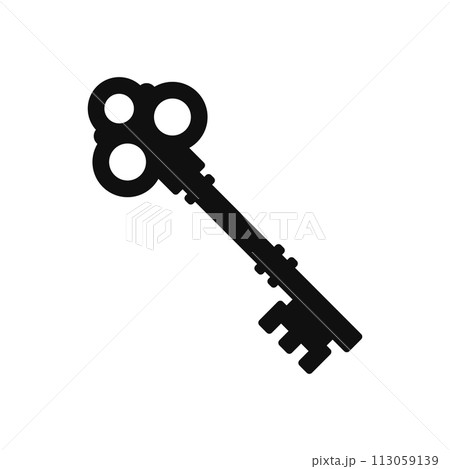 Old Door Key on White Background. Vector 113059139