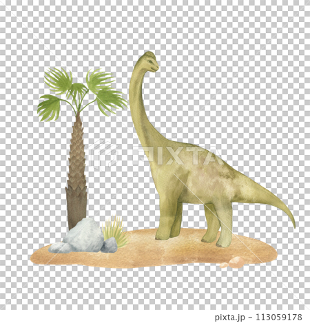 Watercolor illustration of a dinosaur diplodocus on sand with palm trees, watercolor texture, handmade, isolated. For children's room decor, poster, invitation Watercolor illustration of a dinosaur diplodocus on sand with palm trees, watercolor texture, handmade, isolated. For children's room decor, poster, invitation 113059178